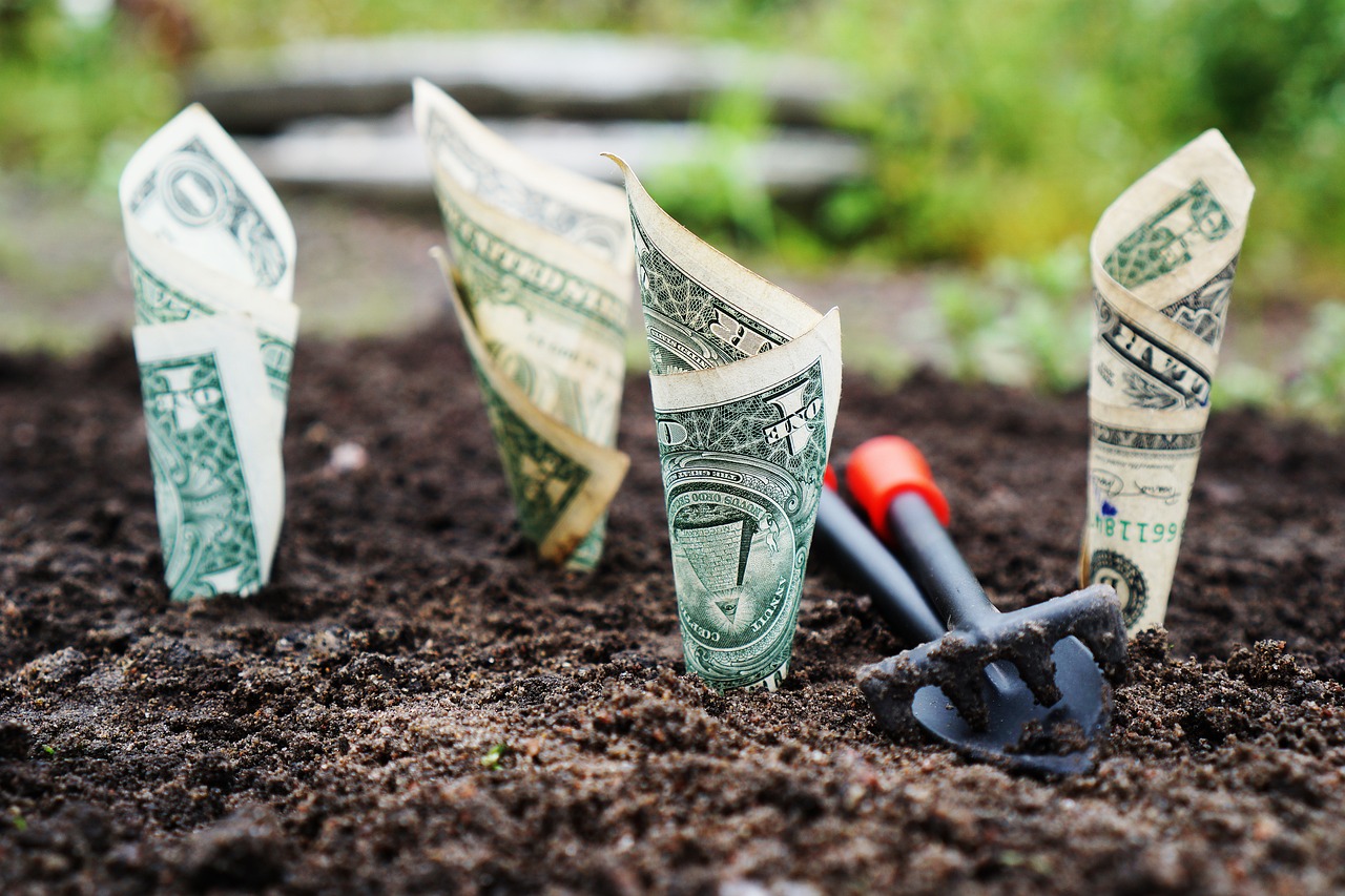 high-yield savings account